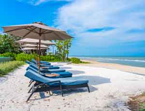 Vivacious Goa