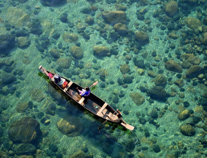 Awesome Assam and Meghalaya