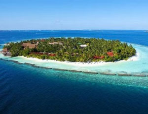 Tropical Joy at Andaman