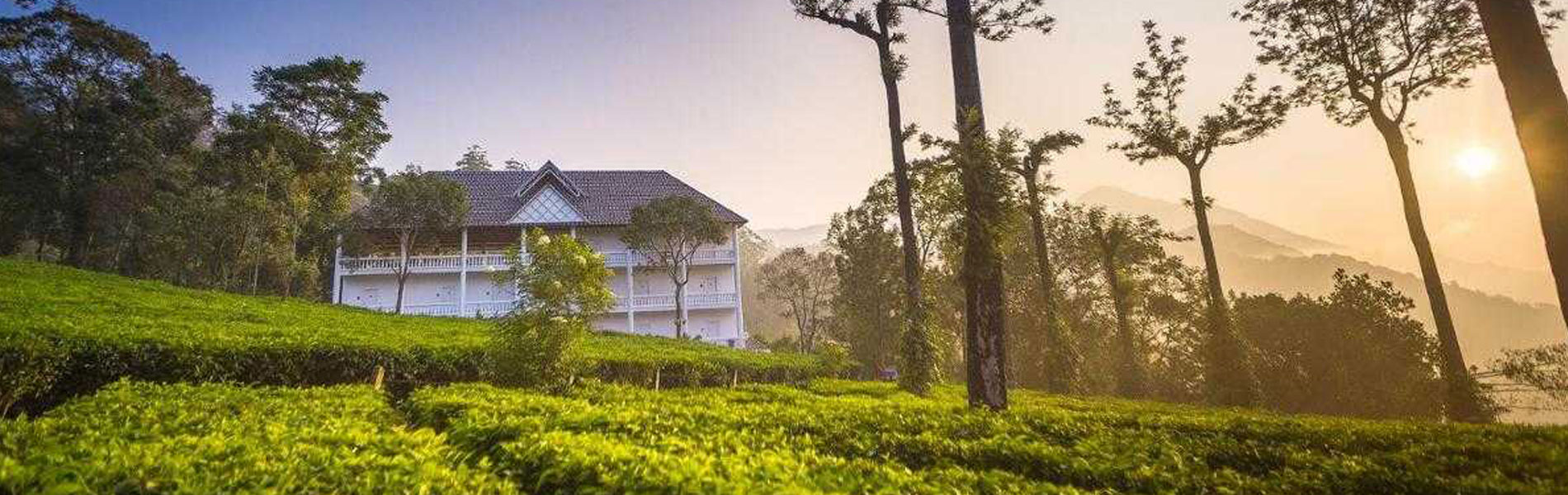 Tranquil Backwaters and Pristine Beaches of Kerala