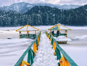 Hypnotizing Himachal