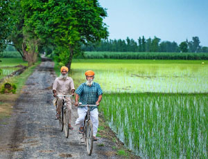 Sacred Amritsar