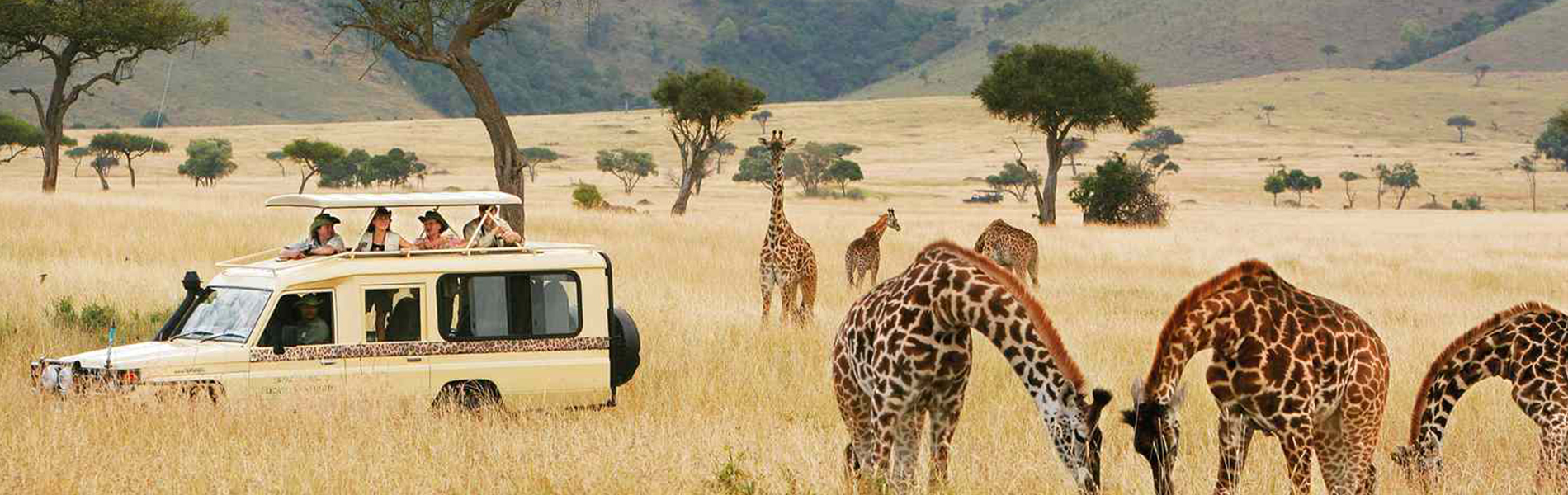 Kenya 5N/6D Wild Safari Tour