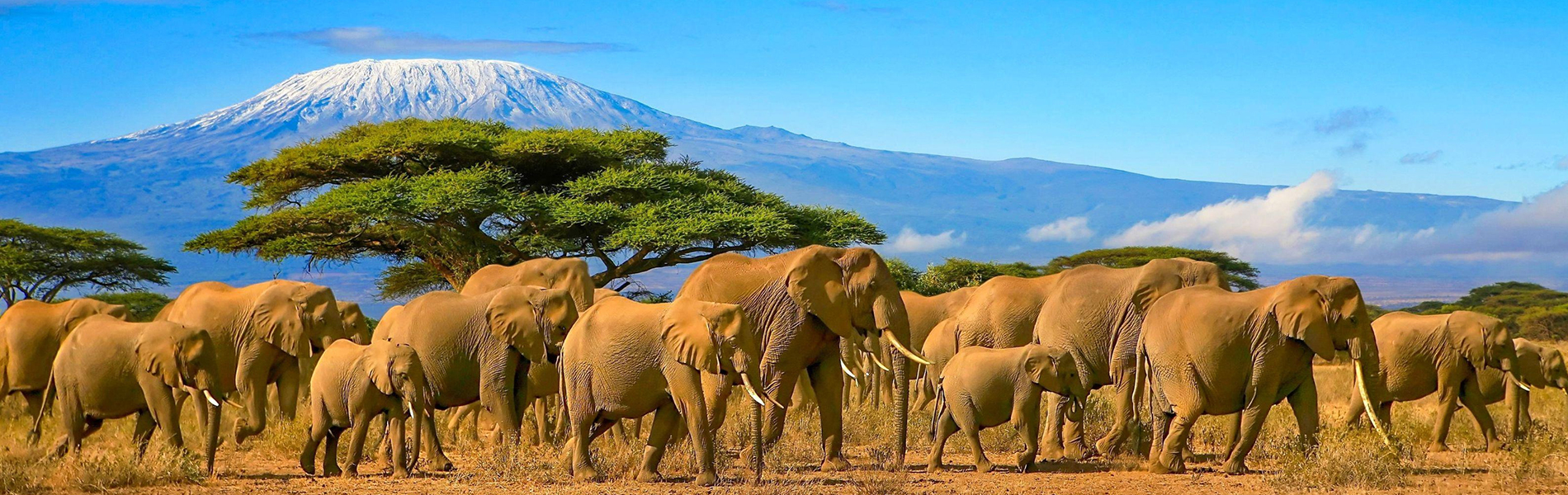 Tanzania 5N/6D Safari