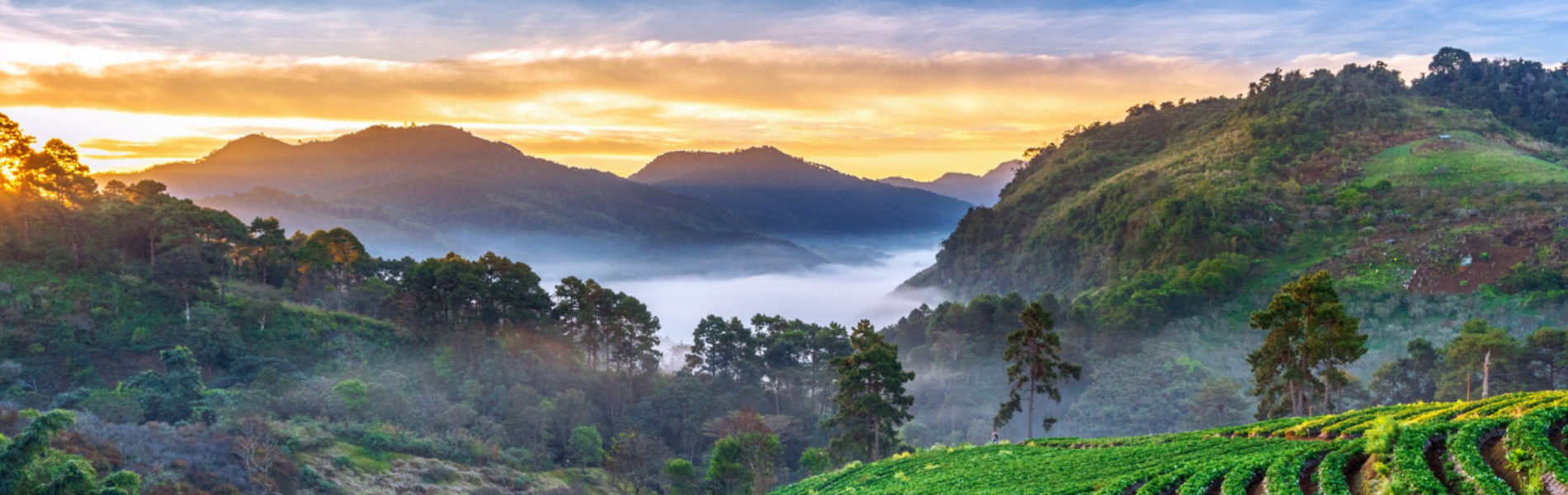 KERALA MONSOON 4N/5D PACKAGE